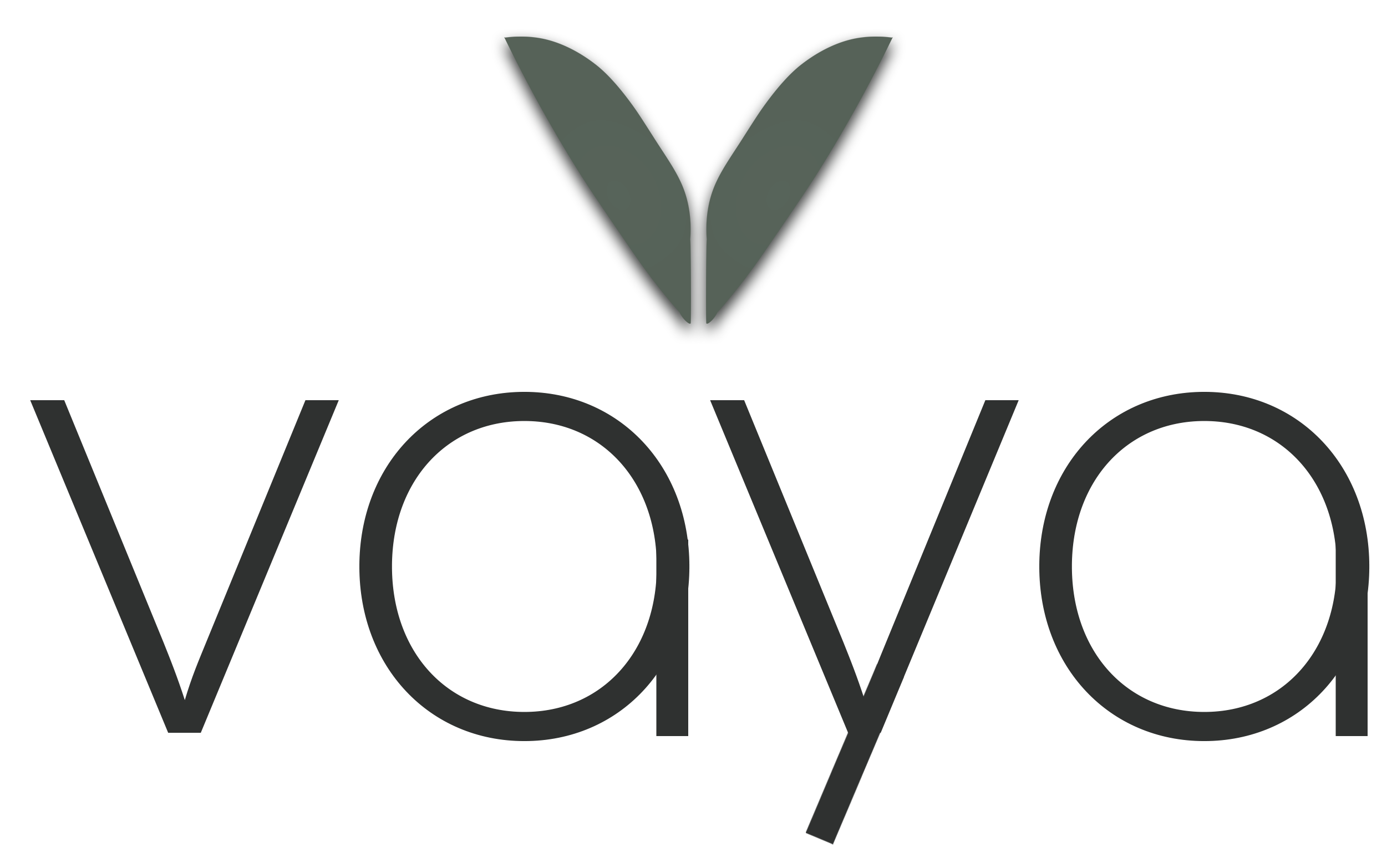 Vaya Systems